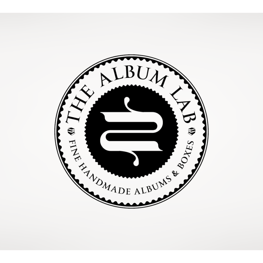 TheAlbumLab-3
